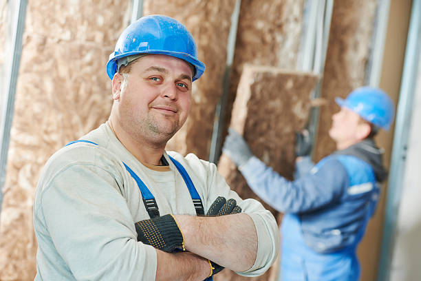 Best Insulation Contractor Near Me  in Slater, IA
